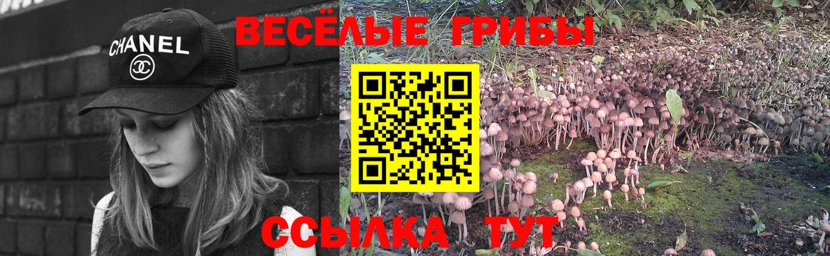 Галлюциногенные грибы мицелий  Псилоцибиновые грибы Magic Shrooms  Вход с VPN  Ейск 